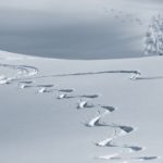 Ski tracks in powder